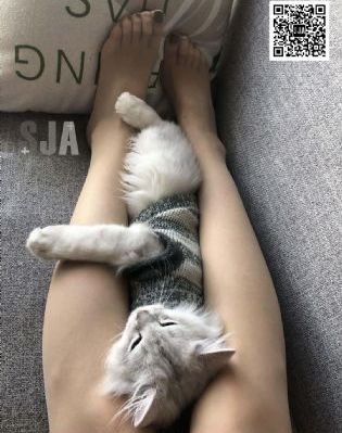欧美丝袜人妖在线视频网站_成人在线观看免费
