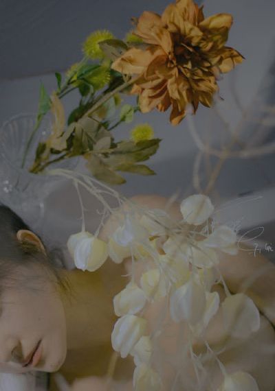 欧美父女亲情电影_手机在线免费观看